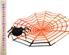 anim.spider/web