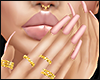 I│Capsules Matte C05