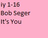 Bob Seger Its You