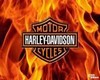 Harley Davidson Round