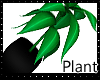 Basic Plant