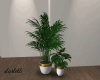 Plant Vase Set White