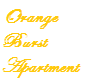 Orange Burst Apartment