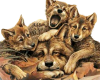 Another Wolf Family