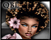 Hawaiian Flavors Bundle