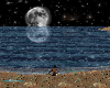 romantic  moon beach