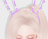 ➧ Purp Bunny Ear