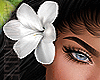 🌊TROPIC HAIR FLOWER