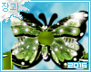 [LW]Butterfly Bar