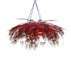 Hanging red heart plant