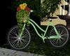 Bicycle Kiss
