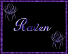 Raven Rug