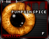 -:| Pumpkin Spice |:-
