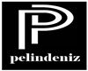[P] Pelin logo