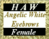 Angelic White Eyebrows F