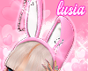 ♡ Bunny 🐰 ears