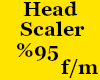 KC-Heand Scaler %95