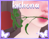 ʚɞ Rose Red