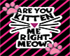 Are You Kitten Pantie BW