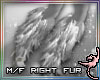 (IR)MysticWolfeh:L Fur-R