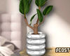 Minimal Vase Plant