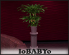 [IB]Love: Pot Plants2