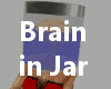 Brain in Jar