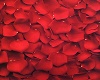 Red Rose Floor Petals