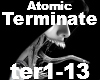 Atomic-Terminate