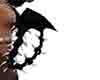 lucifer tail black