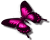 Pink butterfly sticker