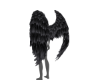 ᨳWings! Kuro