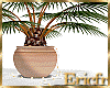 [Efr] Plant Interior 19