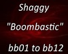 ~NVA~Shaggy-Boombastic