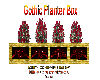 Gothic Planter Box