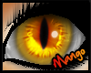 -DM- Orange Tabby Eyes