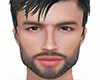 Kendall head