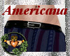 ~QI~ Americana Skirt V7