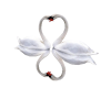 Lilac  Wedding Swans