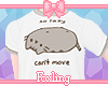 🎀T-shirt kitty