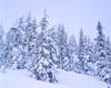 LetItSnow
