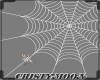 *CM*HALLOWEEN SPIDER WEB