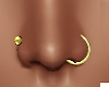 Piercings Nose Gold