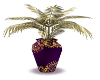 elegent plant