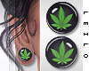 ! L! Haze Plugs