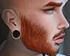 X►HEAD★Rd