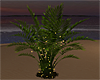 palm/fern plant + lights