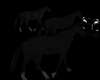 black horses for epic