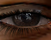 ASTERI /ODELL BEST EYES