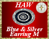 Blue & Silver Earring M